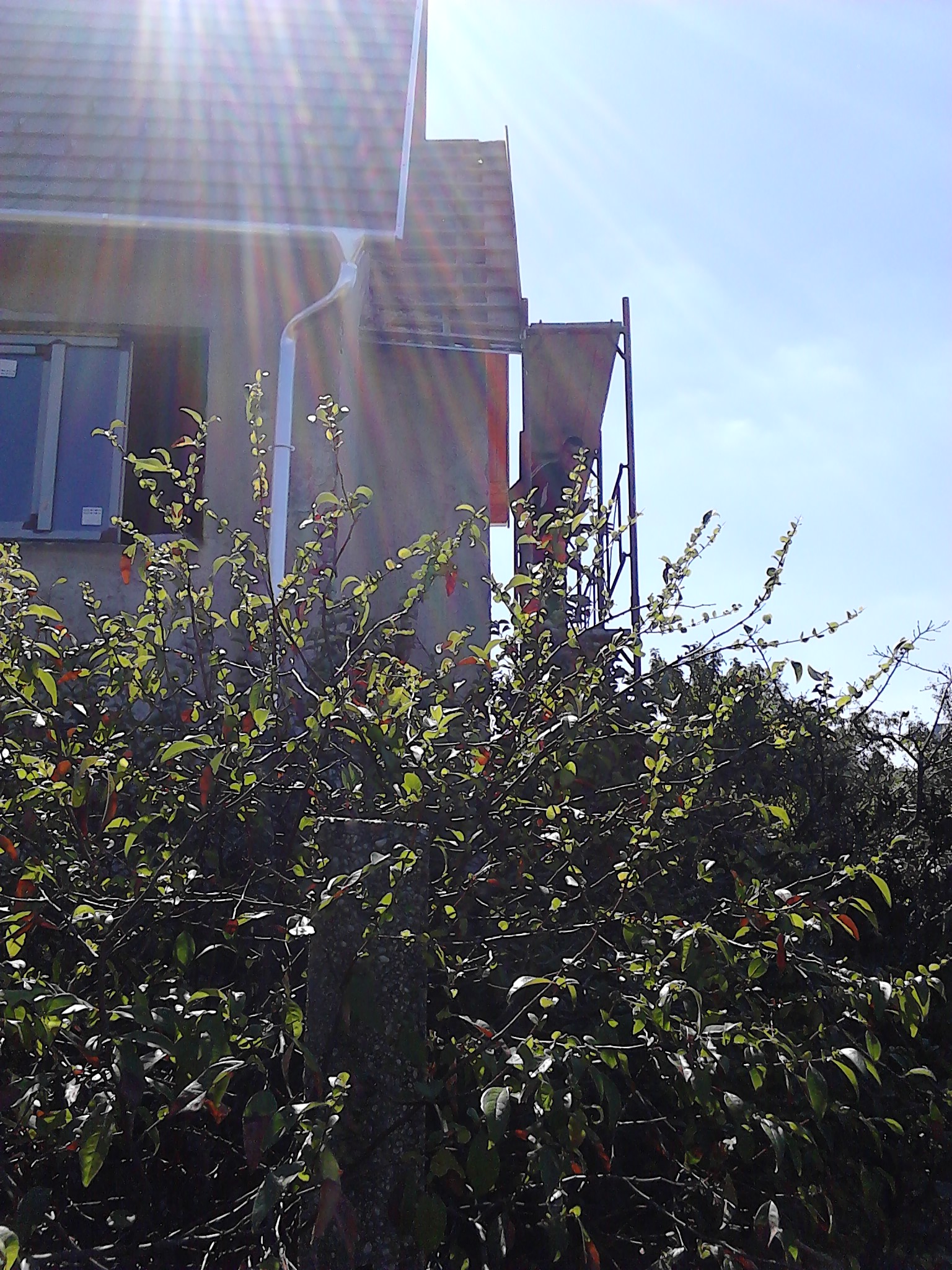 IMG_20130905_115301.jpg