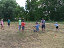 IMG_20260703_140852.jpg - thumbnail